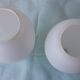 2 tulipes en opaline