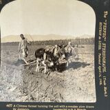 Old photography stereo, stereograph, luxury albumin 1903 Chinese farmer