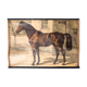 Affiche pédagogique cheval 1897