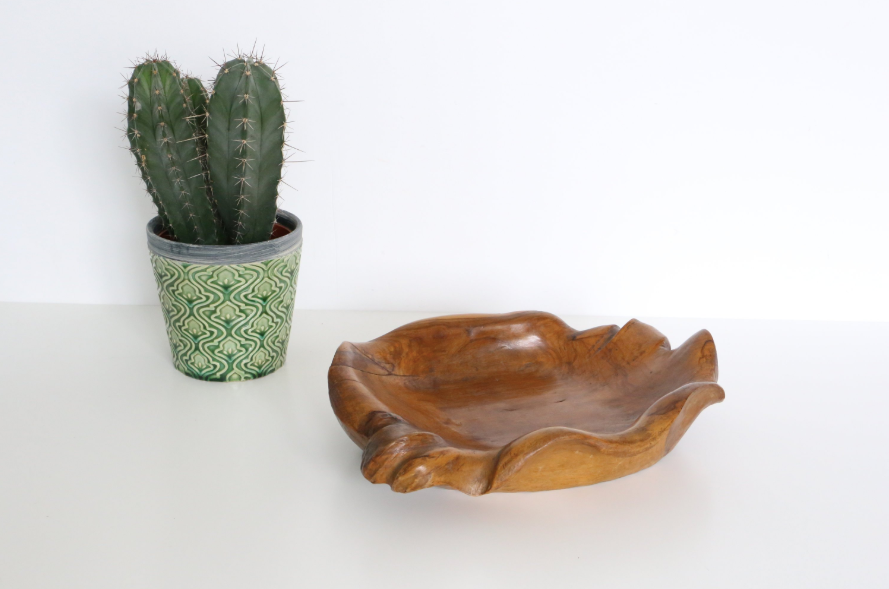 Glove fig tree wooden