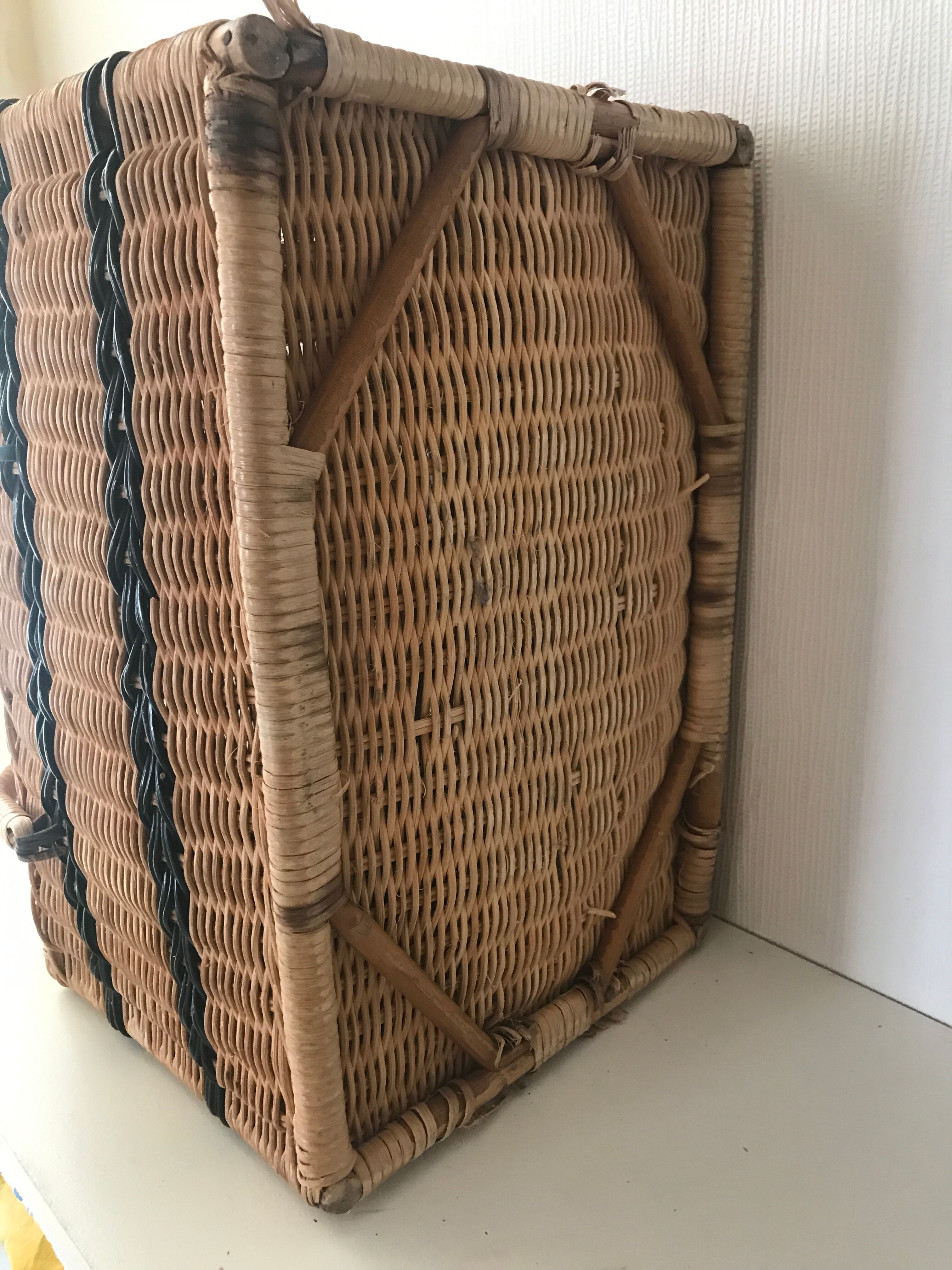 Rattan wicker case