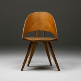 Italian Plywood Dining Chairs