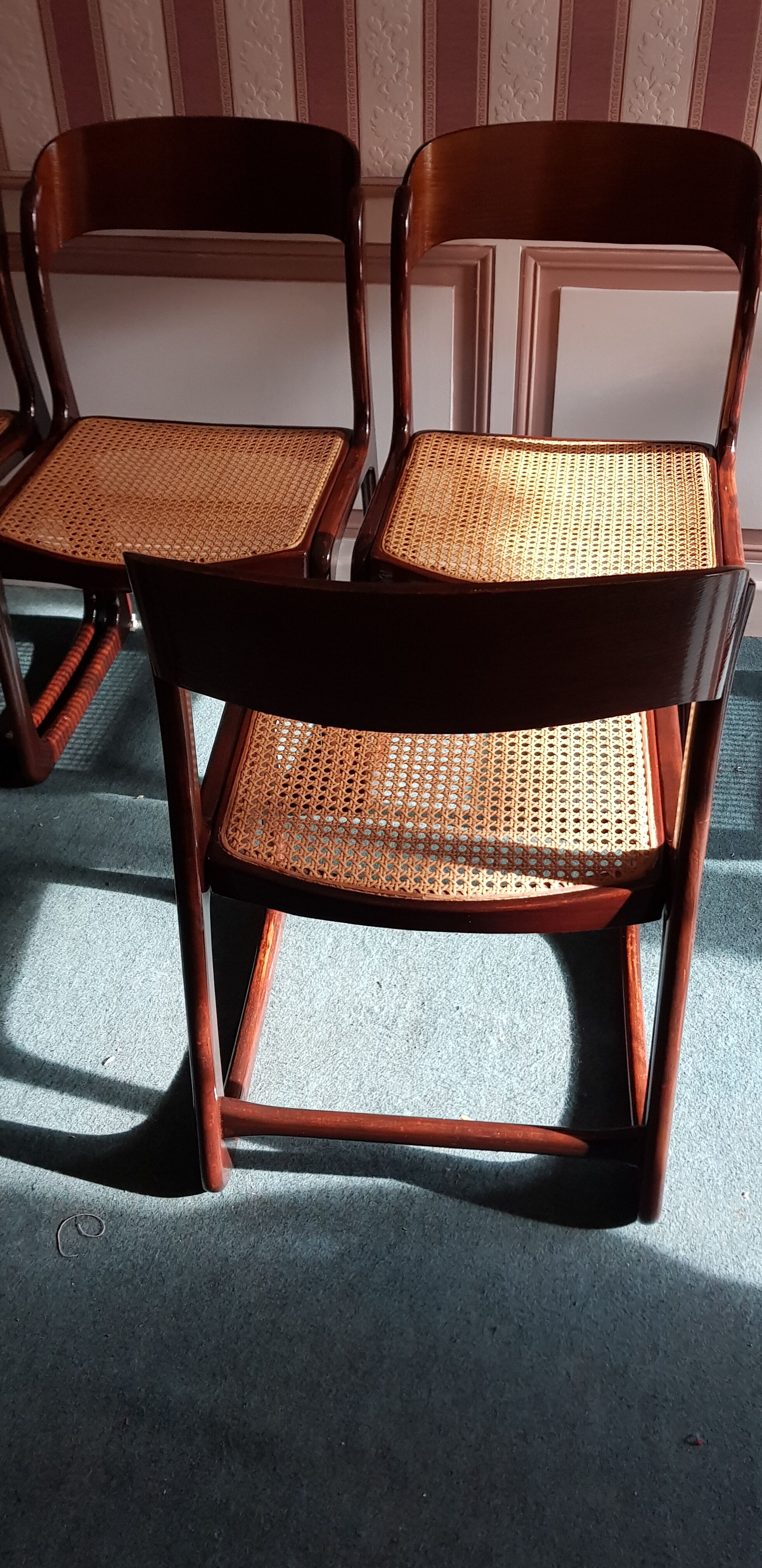 Suite of 6 chairs sleigh Baumann vintage redone