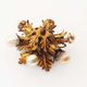 1960’s gilt ‘florentine’ ceiling or wall light by banci firenze