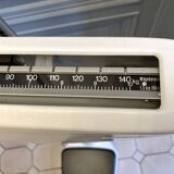 Personal scale and medicine measuring rod