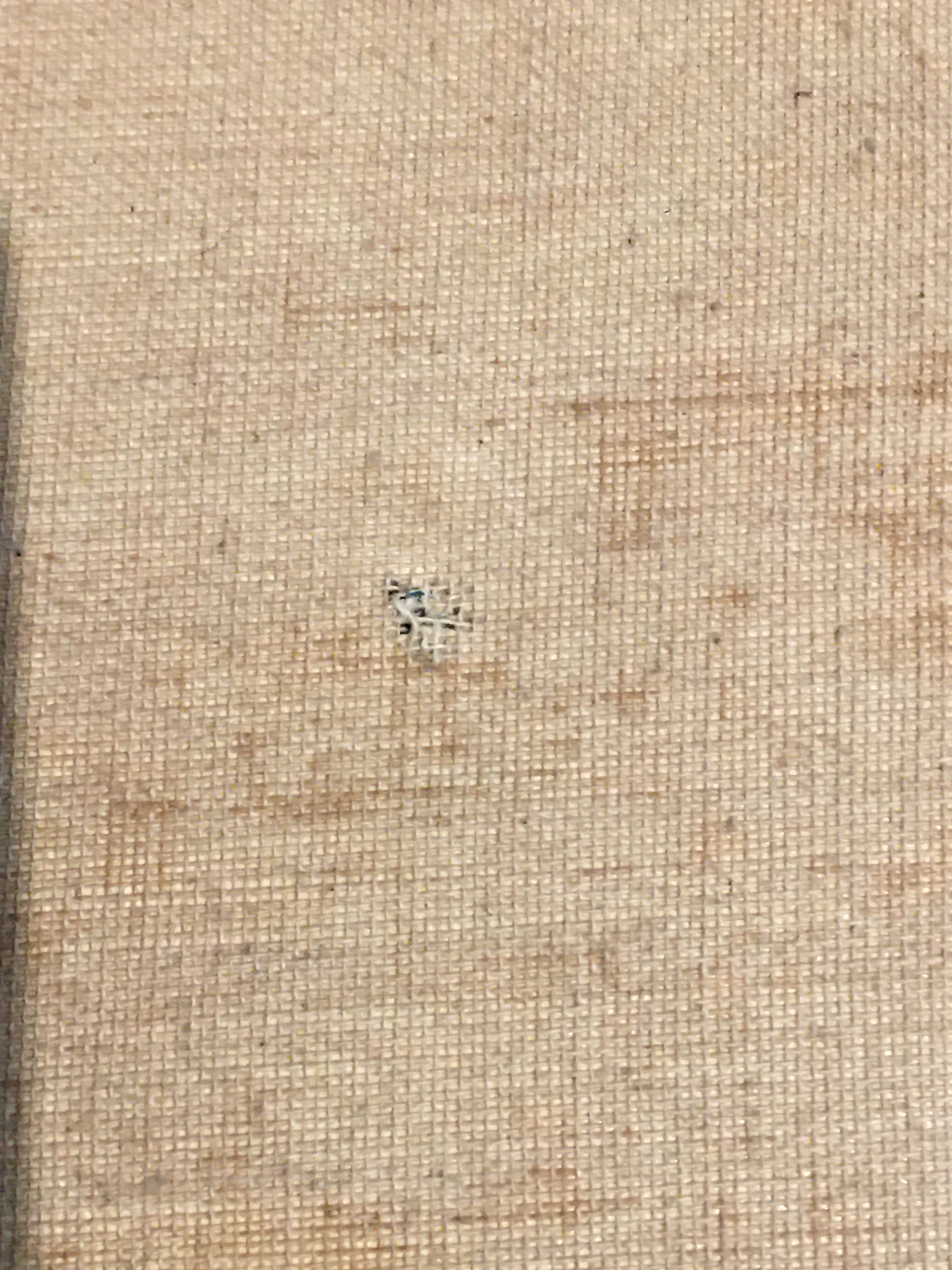 Exotic landscape painting