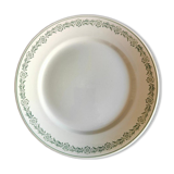 Dish Saint Amand Terre de Fer