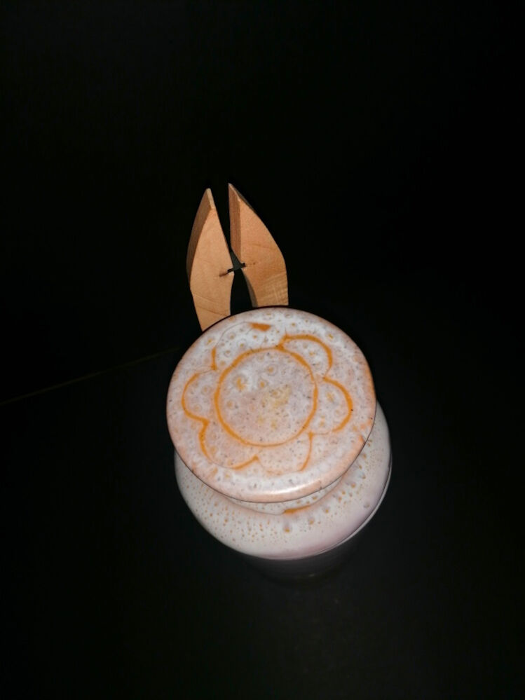 Ceramic pickle pot signed by Jean Austruy (1926-2012) St-Marcelin.