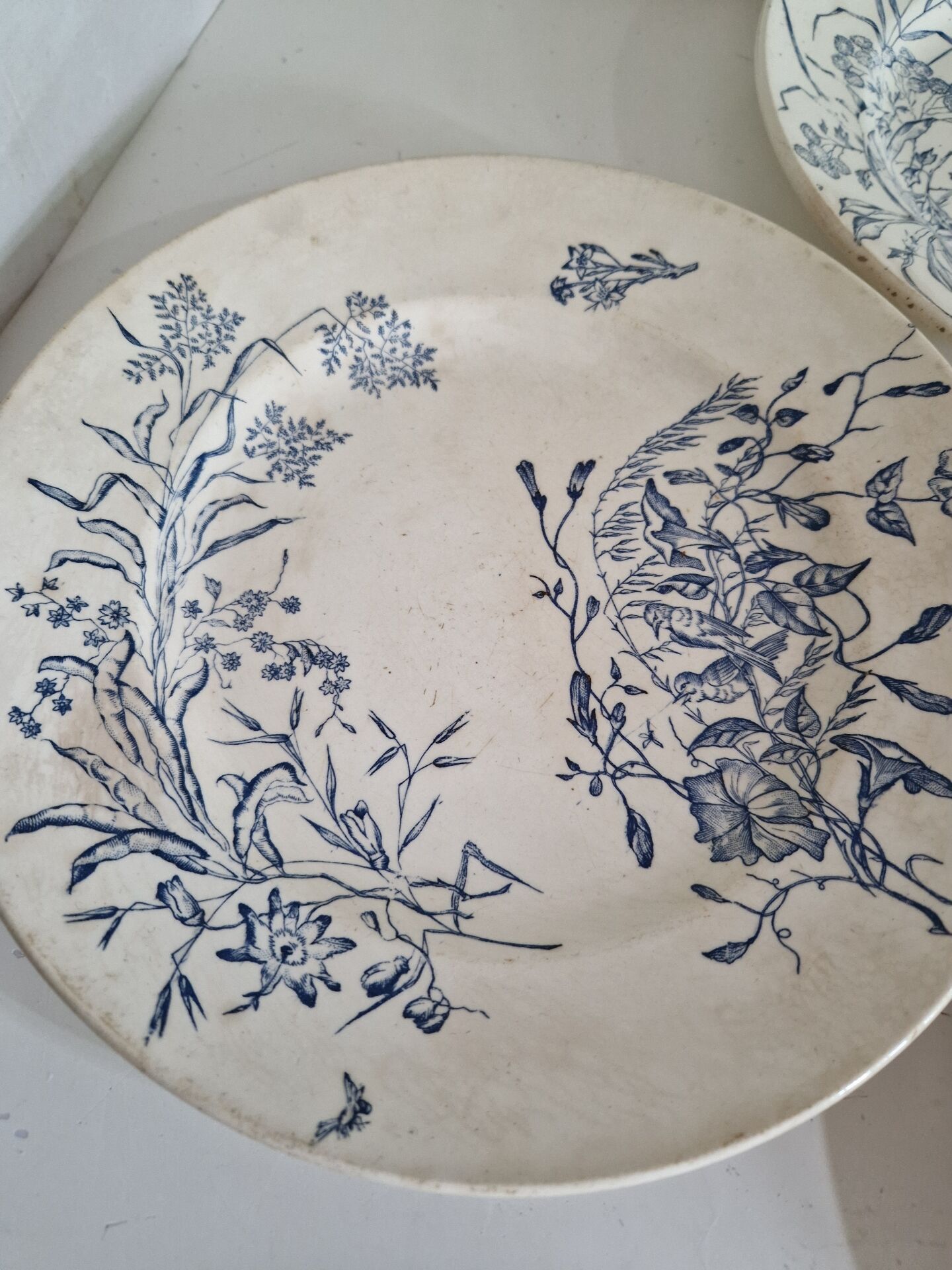 Lot De 9 Assiettes Plates Terre De Fer