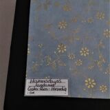Entomology frame with butterfly hamadryas laodamia