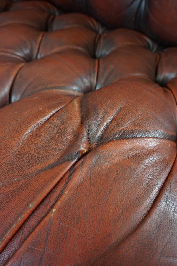 Chesterfield sofa in resistant cowhide, 3 seats