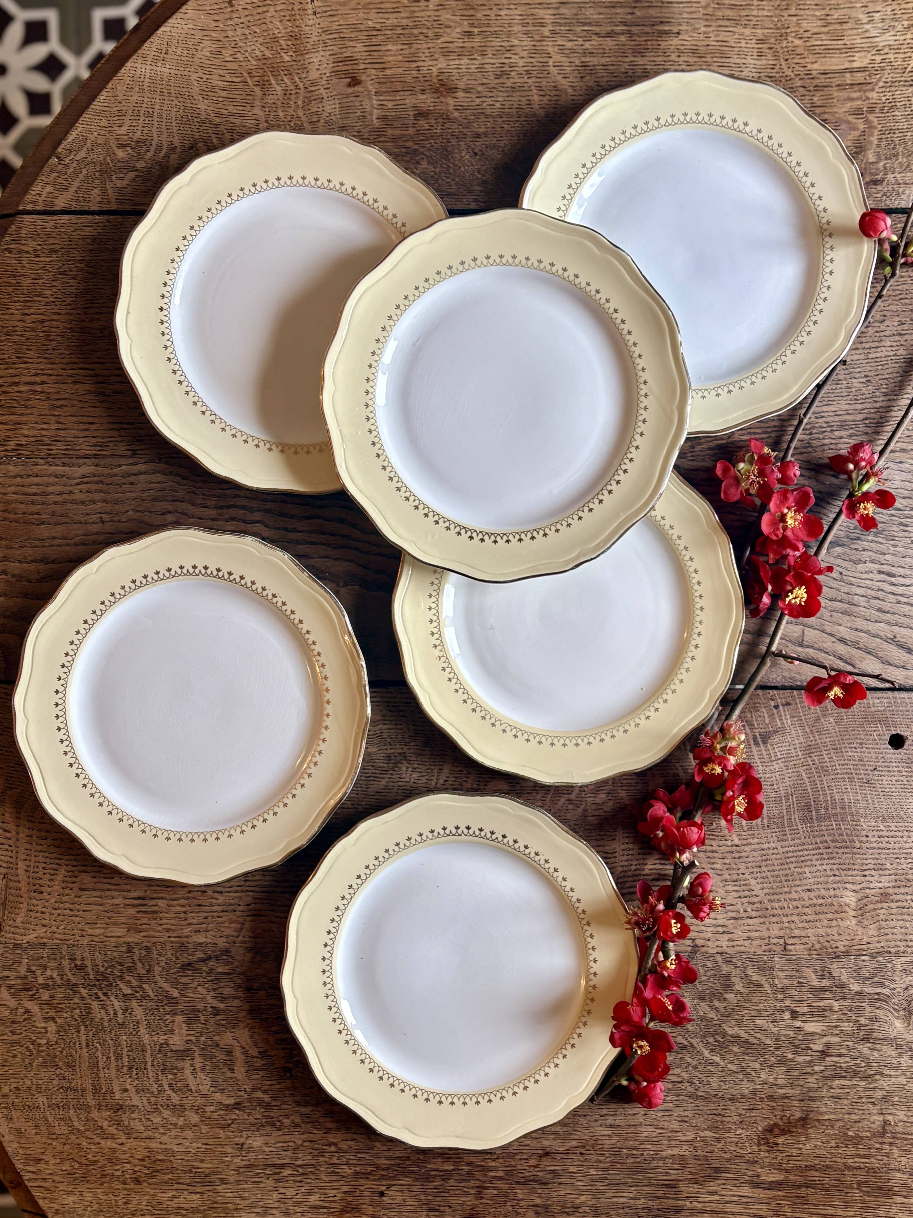 Set of 6 vintage white dinner plates with yellow and gold trim.