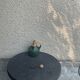 Liquor carafe, shape of Dame Jeanne Barbotine, vintage glazed ceramic