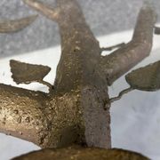 Table à manger en branche d'arbre, années 1980