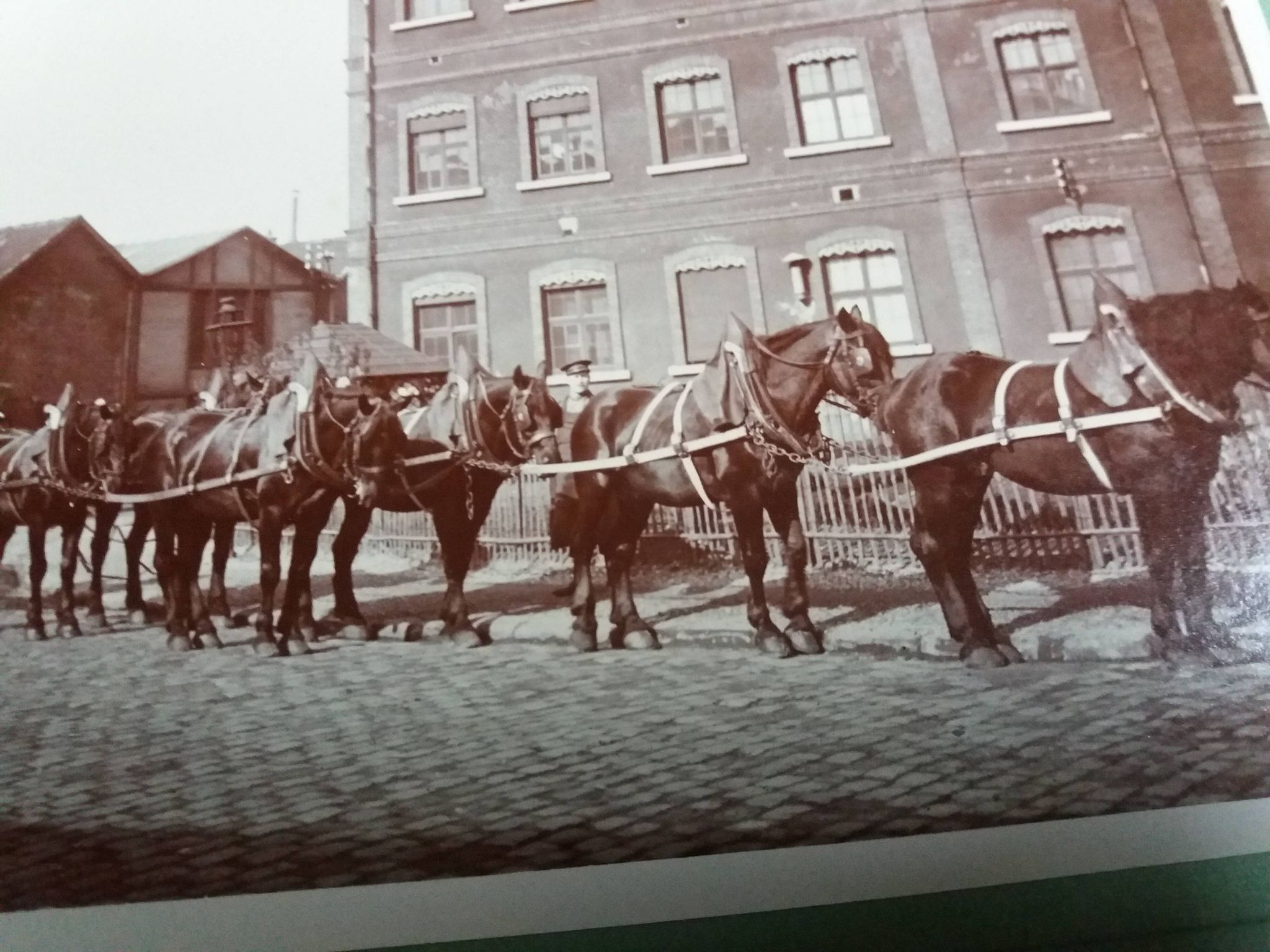 Old photograph 1900 horse-drawn carriage and coachman State Railways