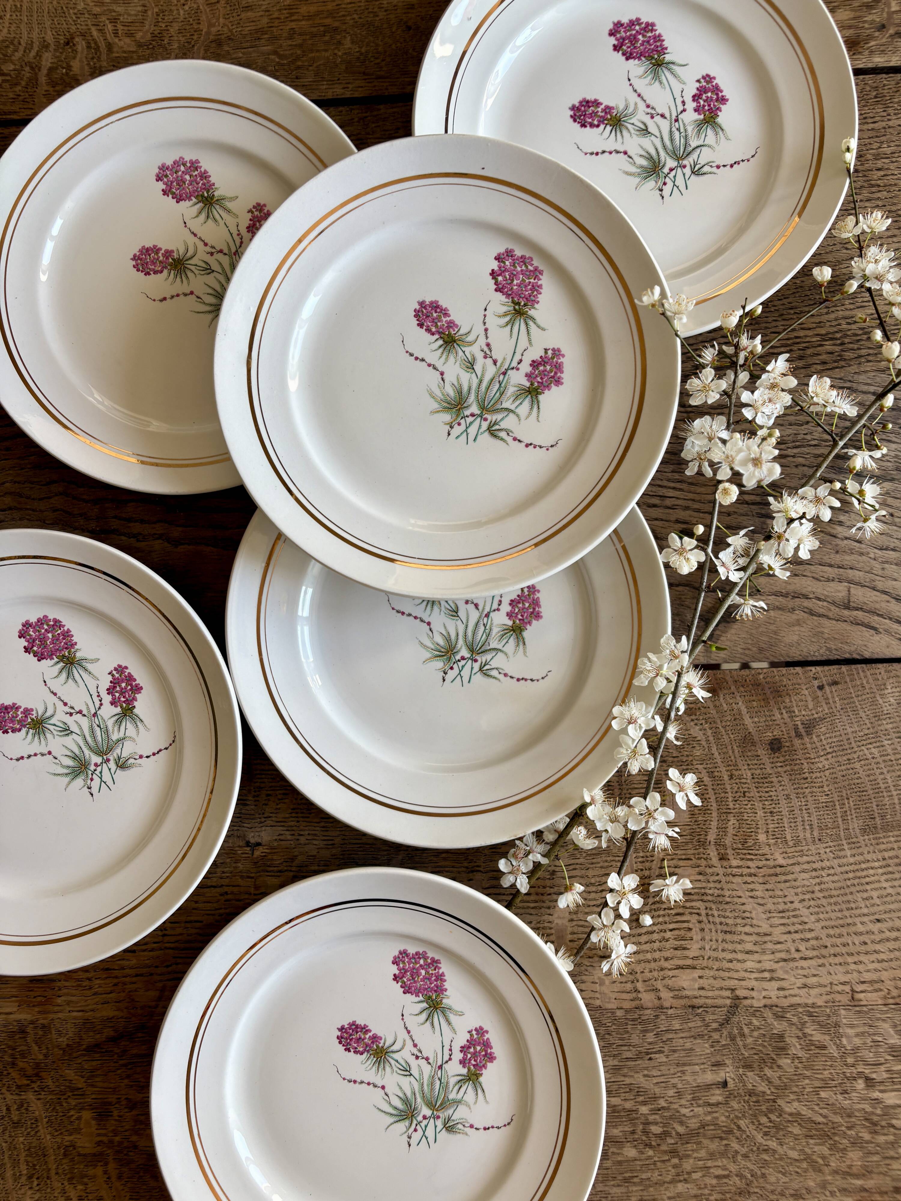Set of 6 vintage dinner plates - Moulin des Loups