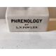Cracked earthenware phrenology bust by Fowler
