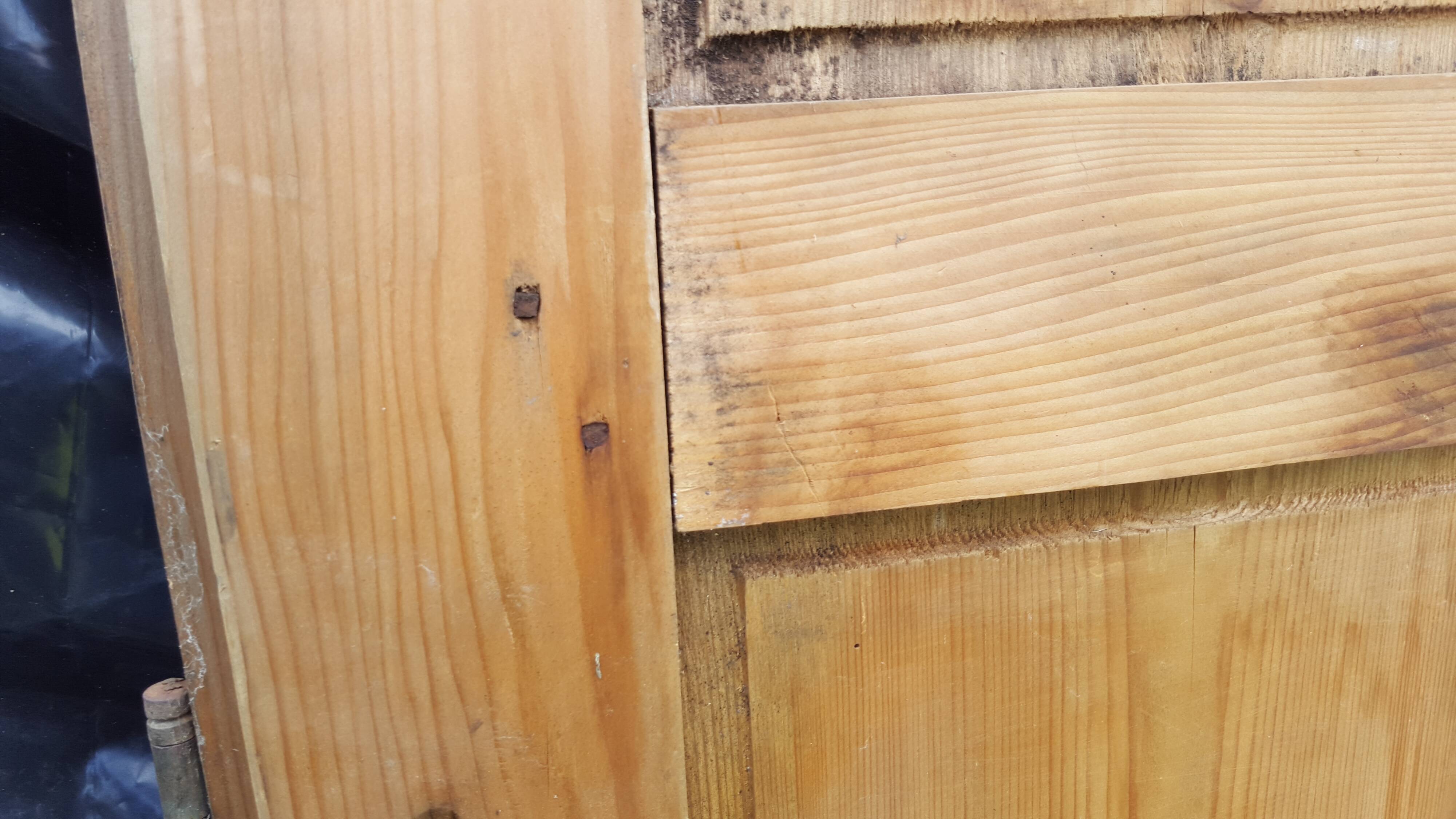Pair of old closet doors