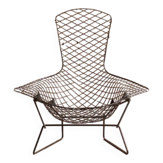 Fauteuil Bird chair par Harry Bertoia pour Knoll International diamond since 1960