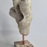 Old white coral branch on pedestal, 27 cm