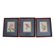3 botanical illustrations flowers Claude vinçon