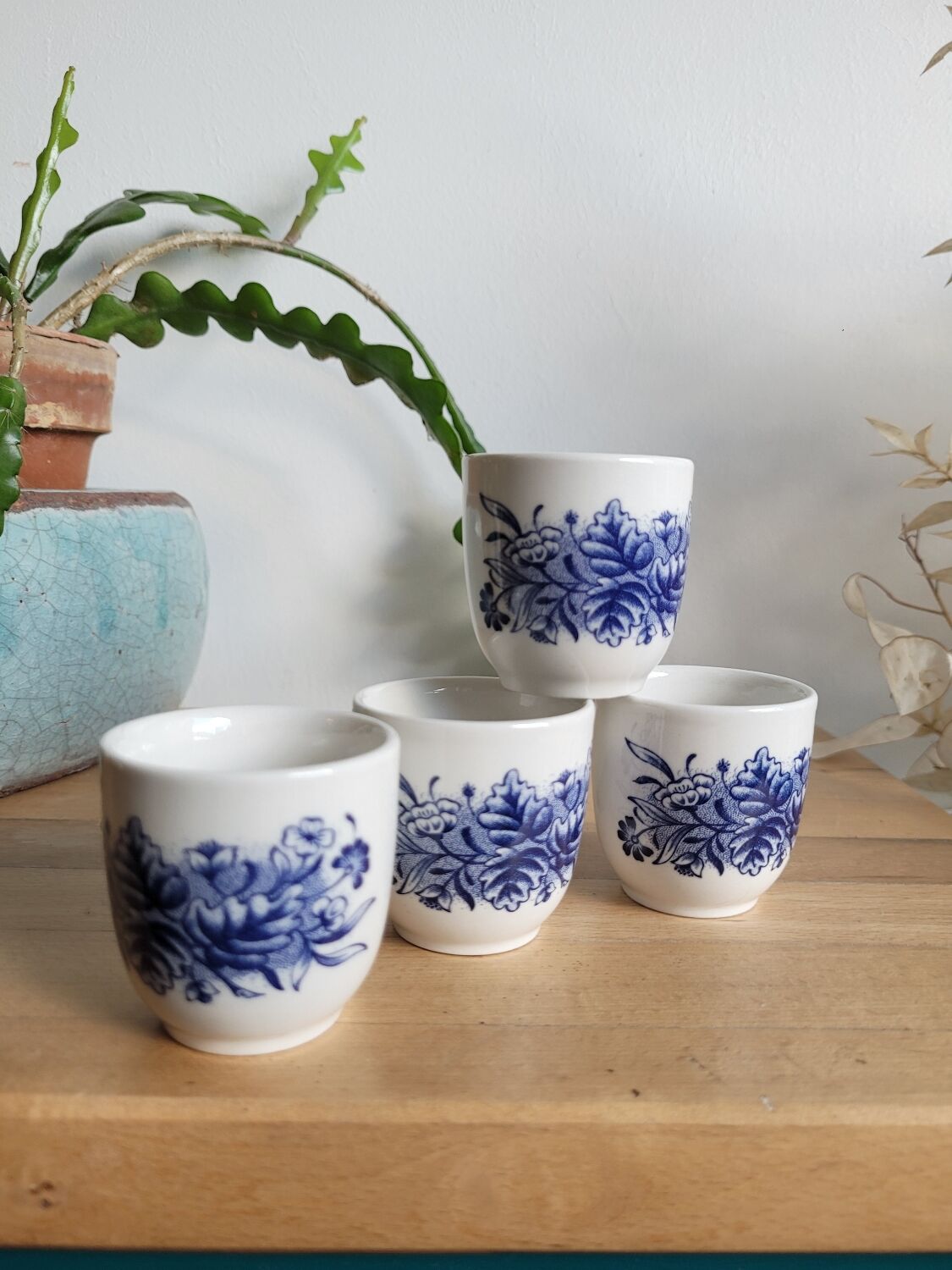 4 porcelain shells England