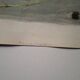 Gravure Daniel Giraud Elliot