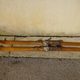 Pair of old wooden skis and metal bindings altiere