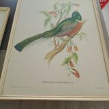 Paintings