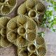 Set of 6 vintage ceramic oyster plates - Sarreguemines -