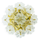 Mid-Century Floral Murano Glass Flush Mount by Ernst Palme for Palwa, Germany, 1960s
