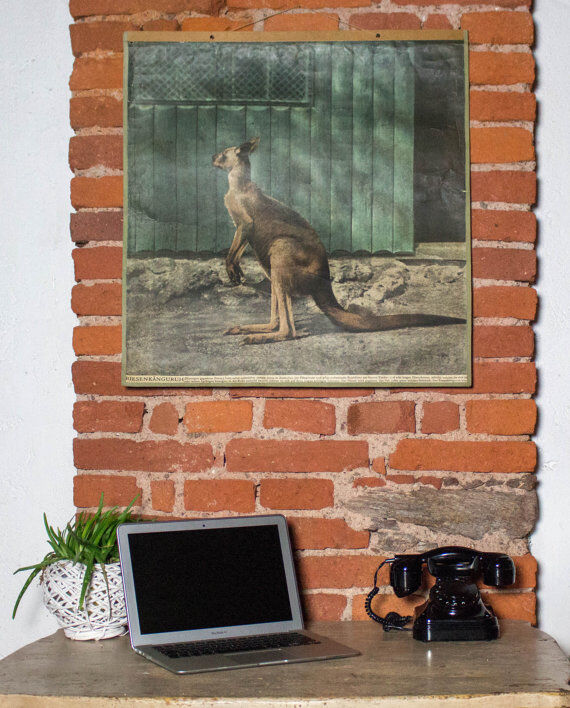 Wall poster "kangaroo" 1917