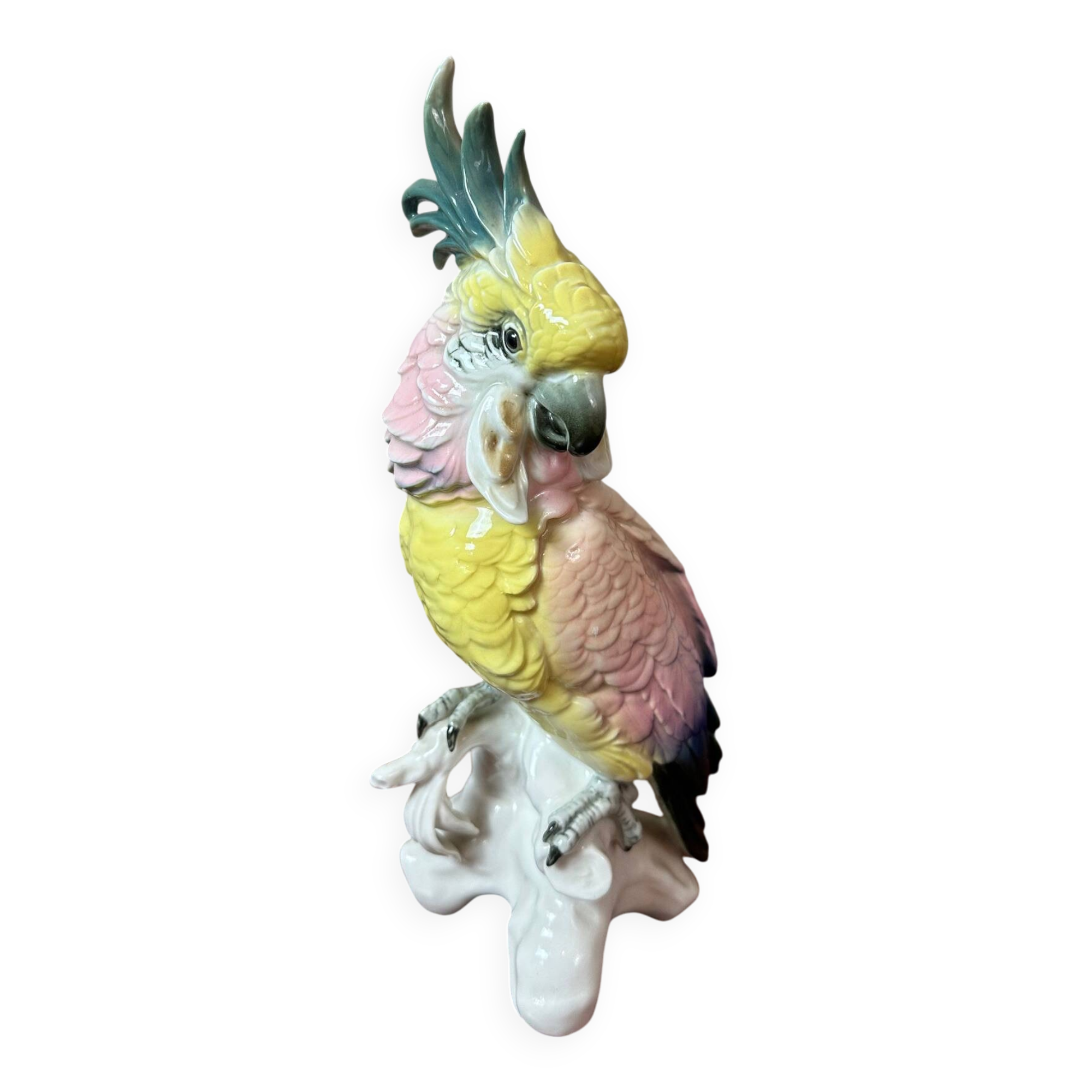 Saxony porcelain parrot