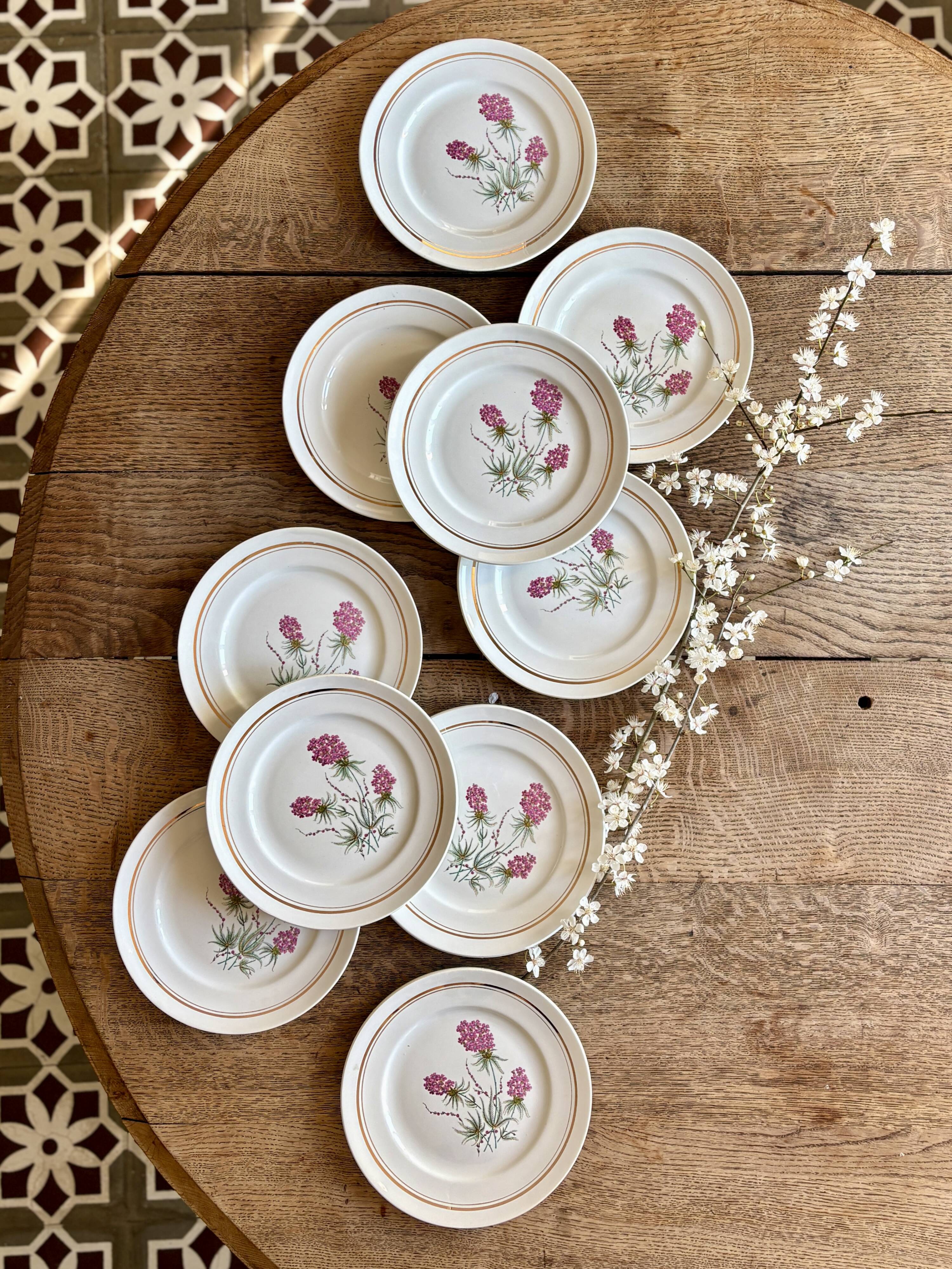 Set of 10 vintage dessert plates - Moulin des Loups