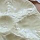 Vintage Gien oyster plate in almond green earthenware.