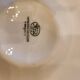 Set of 10 vintage Hutschenreuther oyster plates