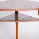 Mid Century Table, 1950s Czechia