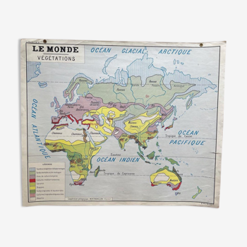 Carte scolaire Le monde Végétation