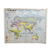 School map The world Vegetation