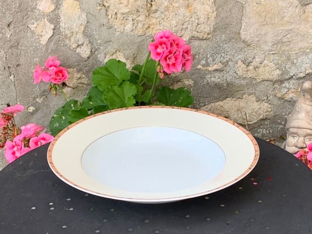 Hollow dish in limoges porcelain Guy Degrenne model vintage foliage