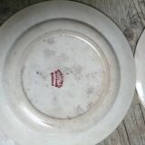 Set de 4 assiettes décor anémones Bertrand Bordeaux