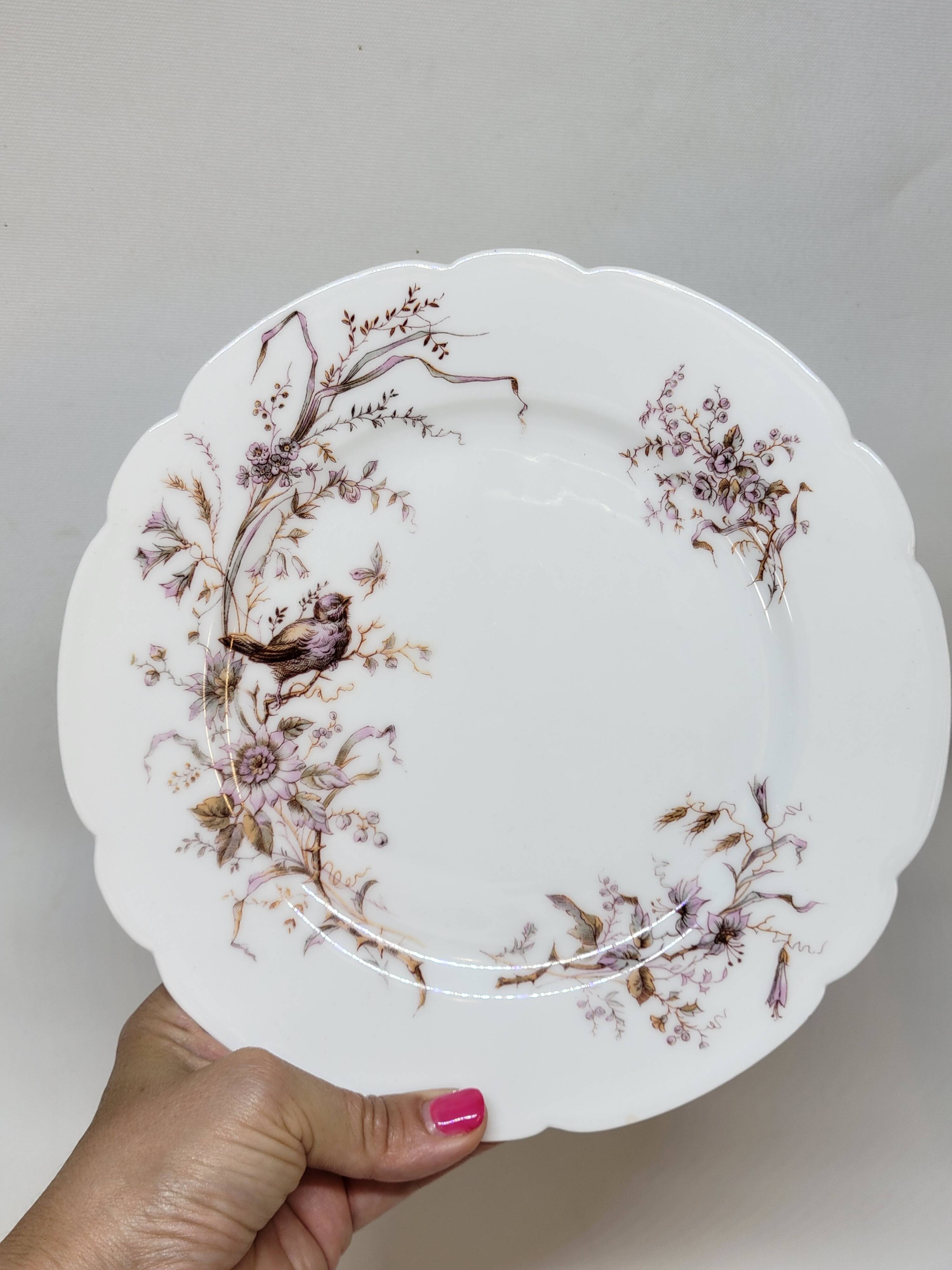 8 Superb Antique 19th Century Plates Decorated with Birds on Branches