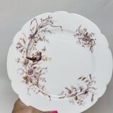 8 Superb Antique 19th Century Plates Decorated with Birds on Branches