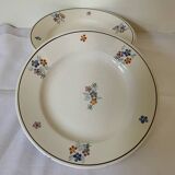 St Amand plates