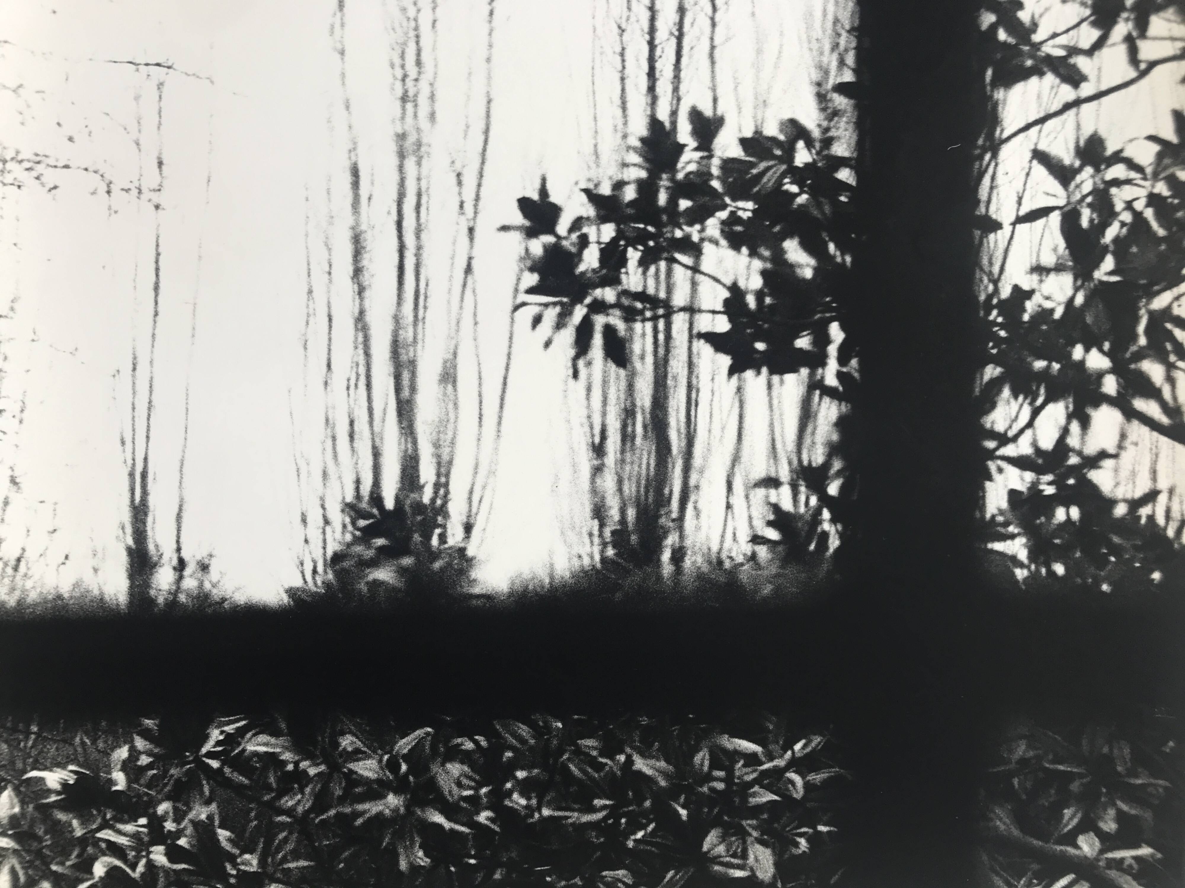 Rosine nusimovici, untitled (window), c 1980. black and white silver print