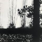 Rosine nusimovici, untitled (window), c 1980. black and white silver print