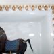 Flat cup empty pocket Jean Dange paris horse porcelain