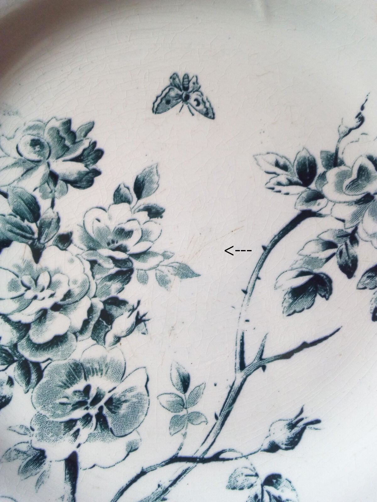 Suite of 5 plates flowers/butterfly
