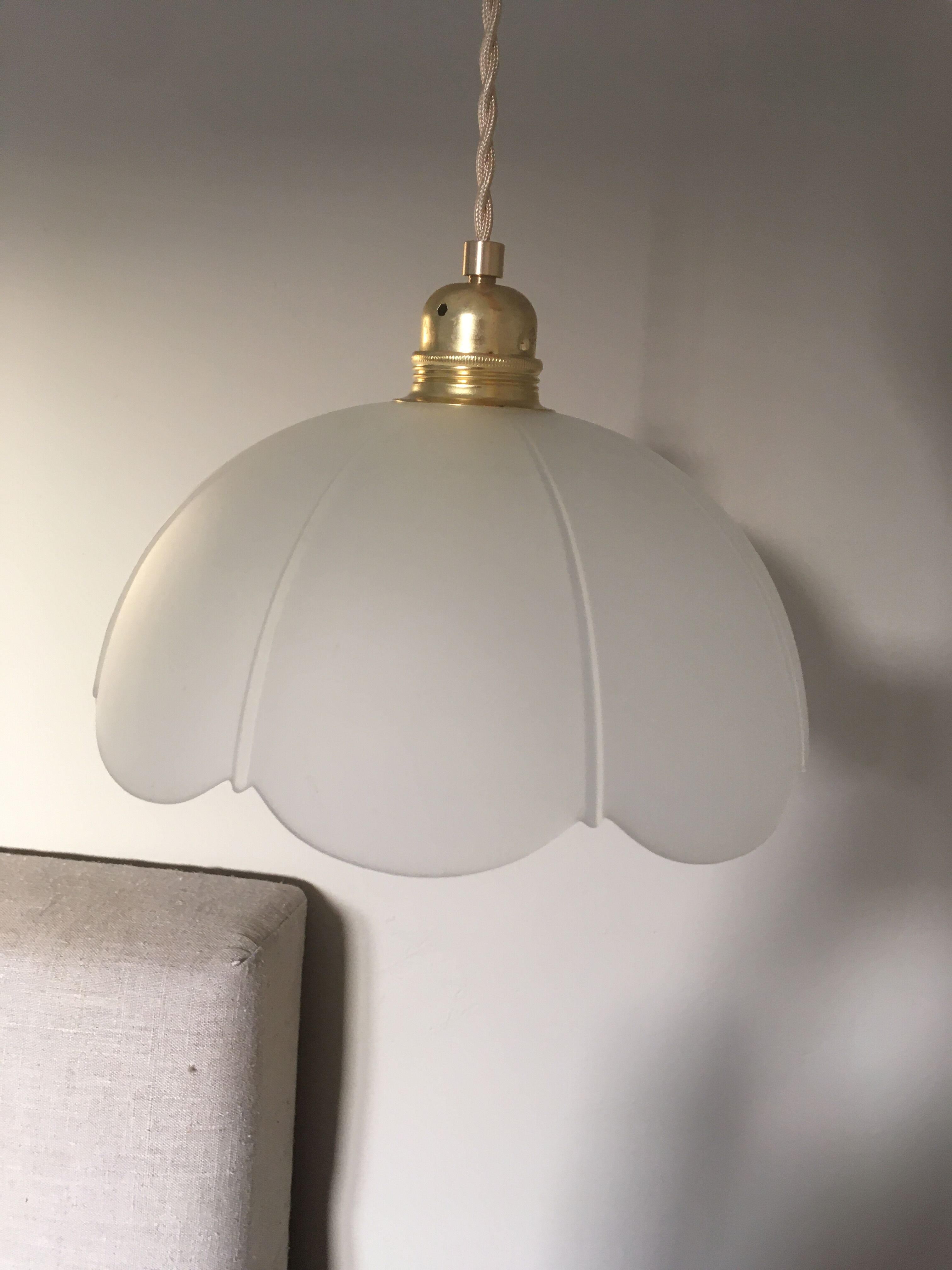 Vintage flower pendant lamp in frosted glass