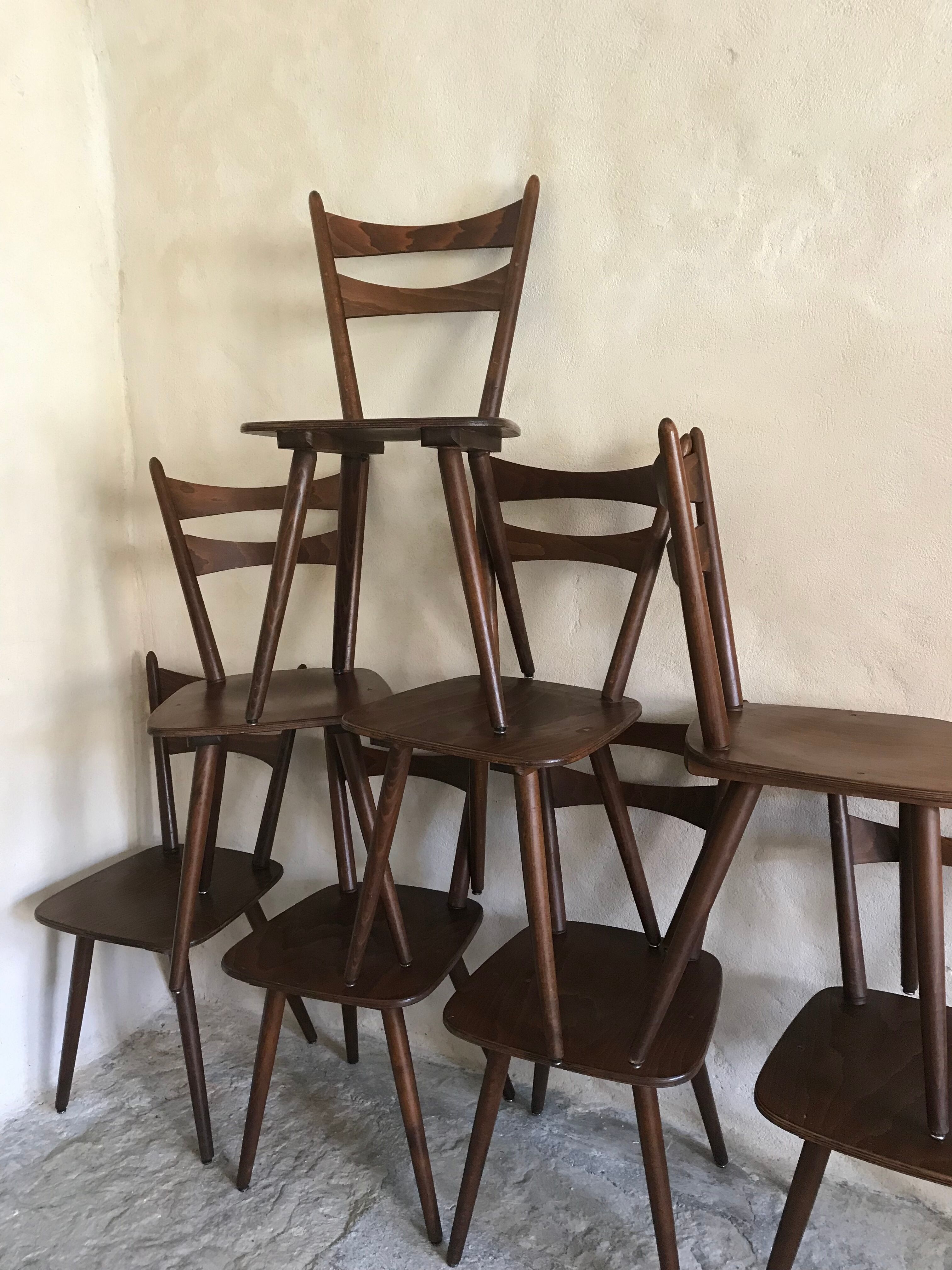 Set of 8 vintage chairs 1960 in beech compass feet
